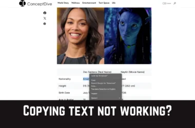 Copying text on website not working