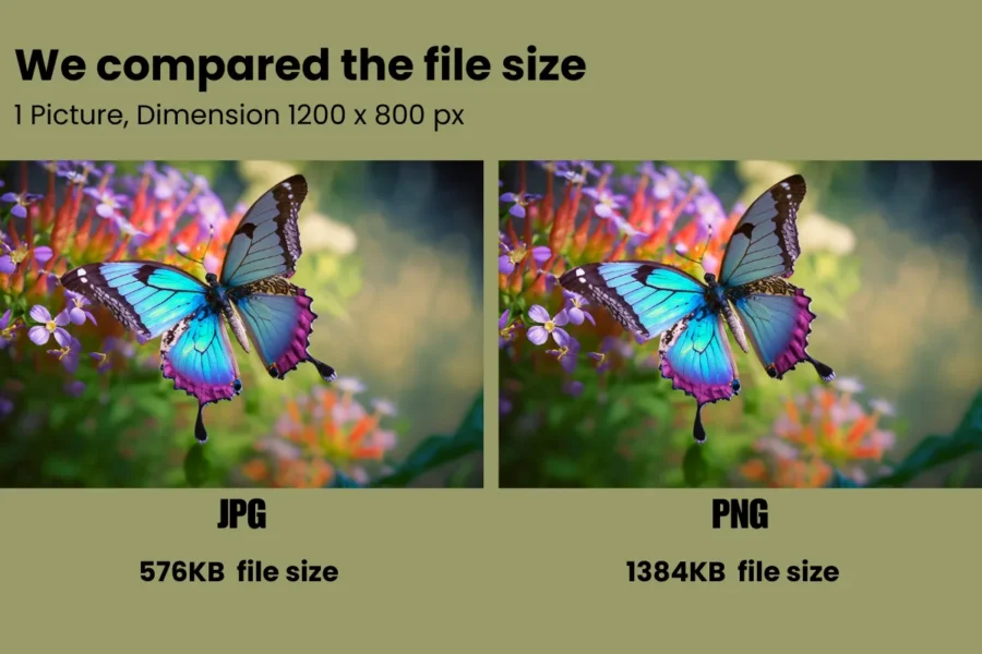 PNG vs JPG File size comparison