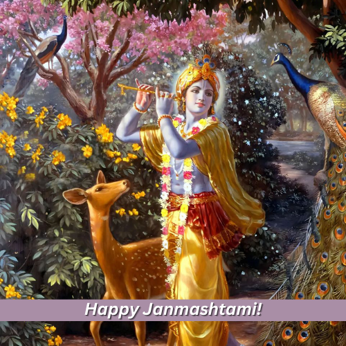 janmashtami wishes photo