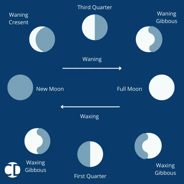 phases of moon for hair growth