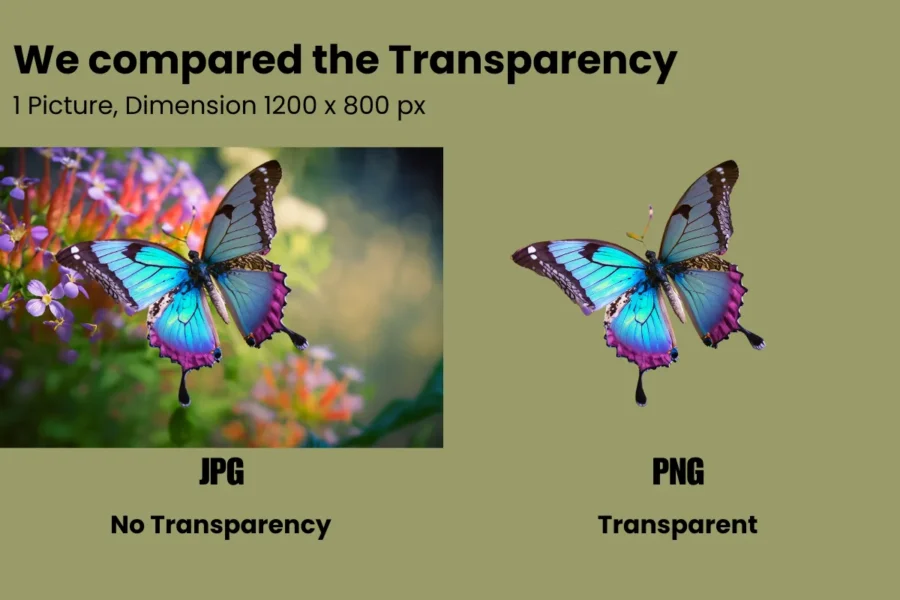 PNG vs JPG Transparency comparison