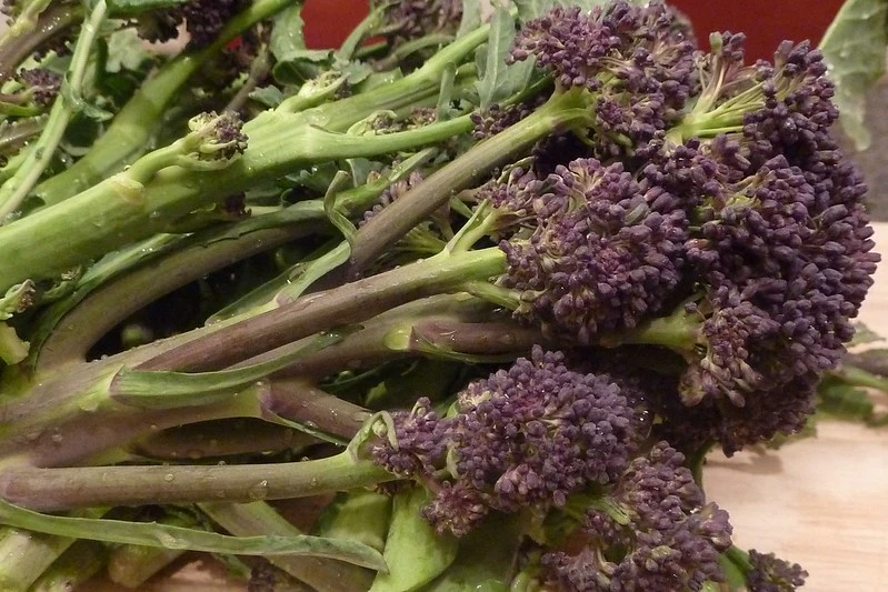 Sprouting broccoli